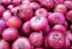 Now thieves stole onions from field, police engaged in investigation