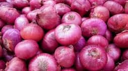 Modi government will go to India's friend Pak's friend to complete onion scarcity