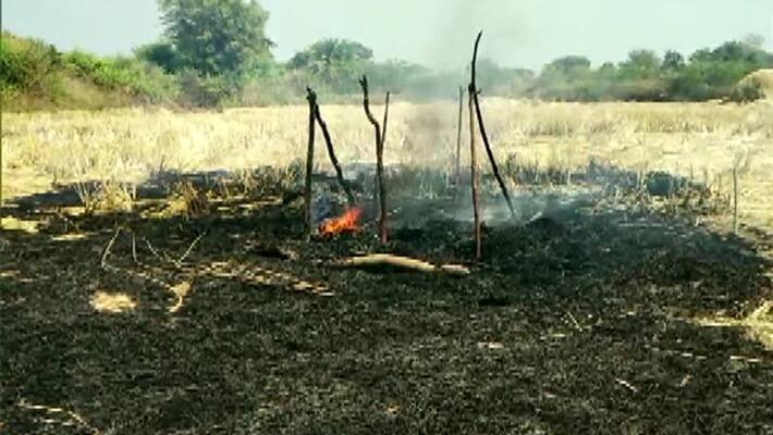 Three girls scorched in the fire while playing, died Three girls scorched in the fire while playing, died