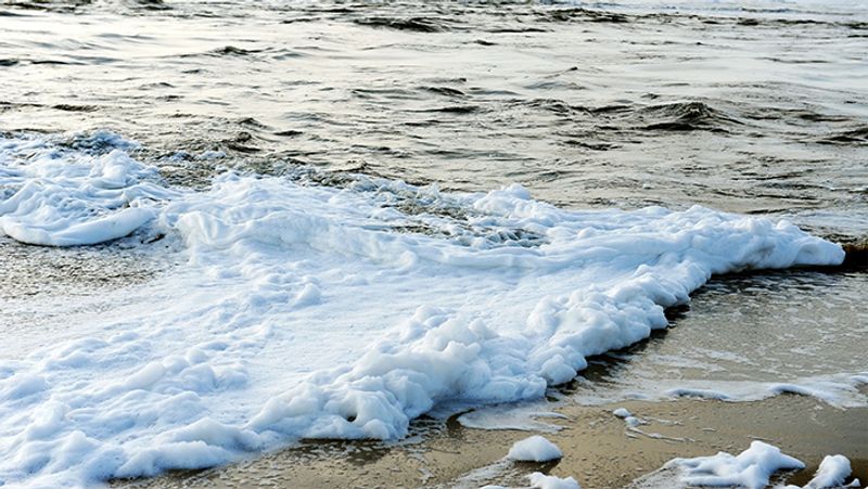 Don't be surprised, this is not Kashmir, it is Marina Beach, where the sea is spewing poisonous foam.
