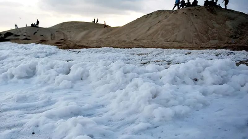 Don't be surprised, this is not Kashmir, it is Marina Beach, where the sea is spewing poisonous foam.