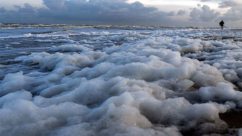 Don't be surprised, this is not Kashmir, it is Marina Beach, where the sea is spewing poisonous foam.