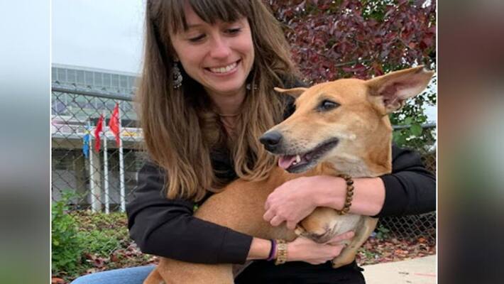 Emotional story related to a dog in Surendranagar, Gujarat Emotional story related to a dog in Surendranagar, Gujarat