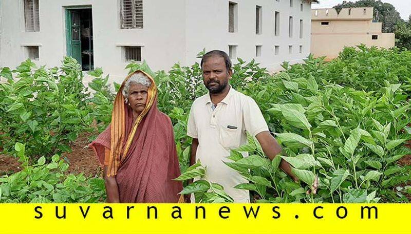 Bellari Kottramma earns In lakhs from Sericulture