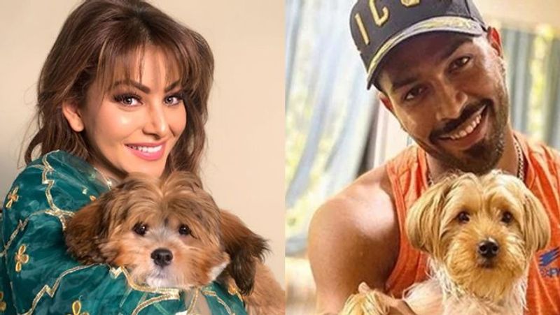 Hardik Pandya Natasa Stankovic Rendezvous Romantic Holiday In Dubai