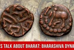 Lets Talk About Bharat Bharashiva Dynasty Nagas of Padmavati
