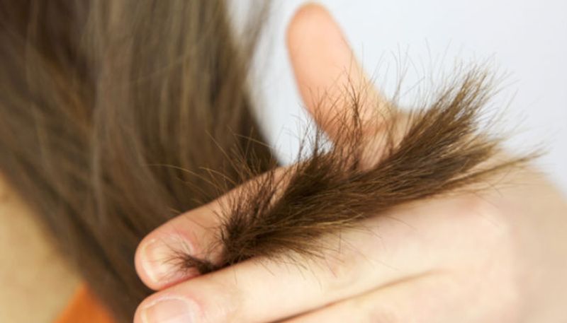 remedies to heal split ends at home