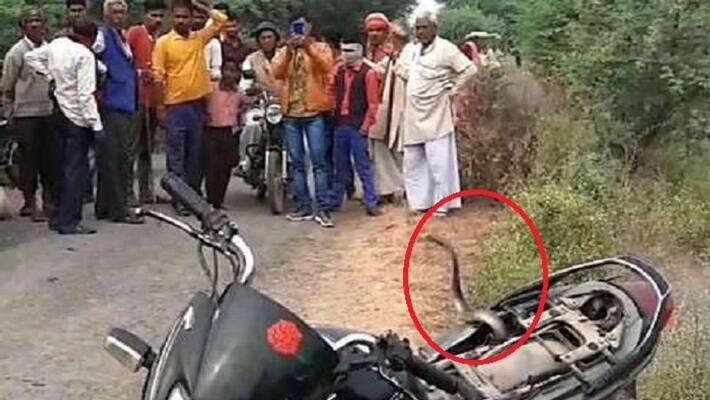 cobra captures bike in jalaun cobra captures bike in jalaun