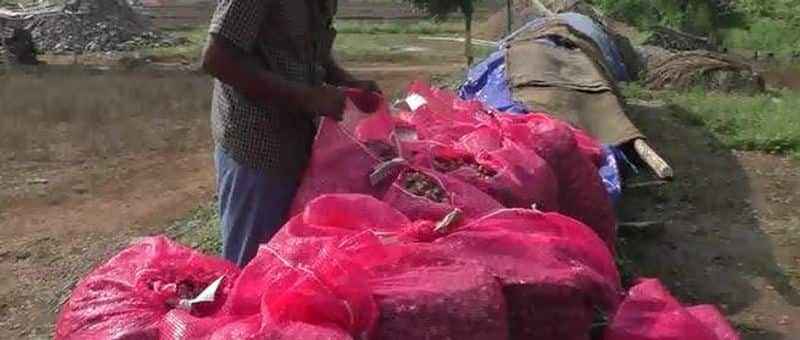 onion scarcity in Kerala market, onion @ record high
