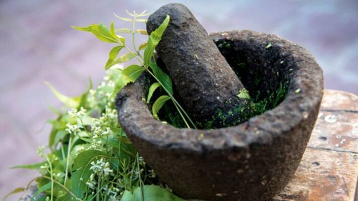 neem leaves is very effective for health as well as beauty neem leaves is very effective for health as well as beauty