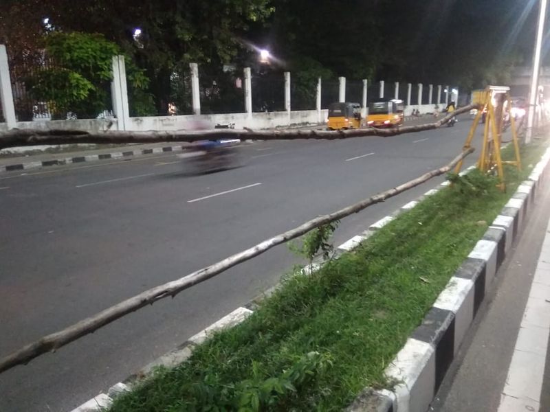 சாலையில் கட்டைகள் கட்டி பாதுகாப்பு