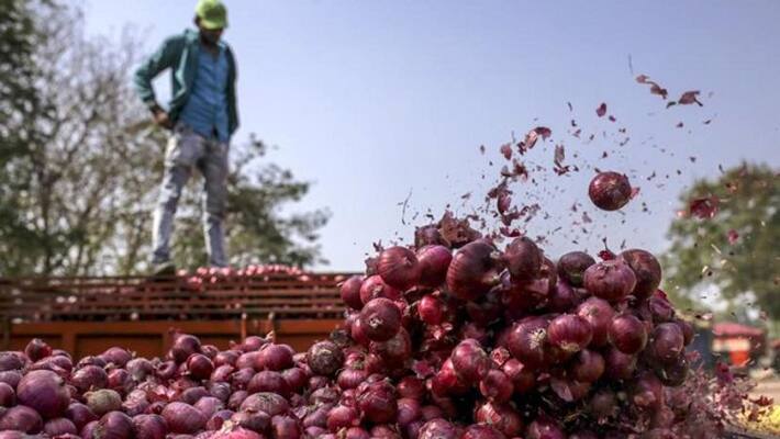 onion price decreased in coimbatore onion price decreased in coimbatore