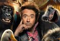 Robert Downey Jr's 'Dr Dolittle' to release in India on January 17
