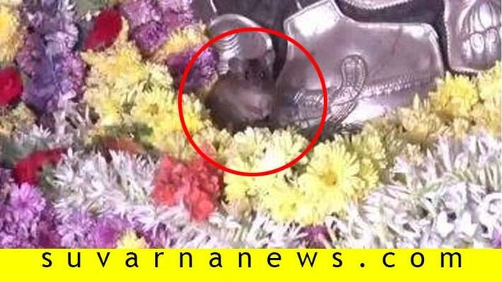 Devotees Surprised As Mice Appear During Ganesh Pooja In Nelamangala Devotees Surprised As Mice Appear During Ganesh Pooja In Nelamangala