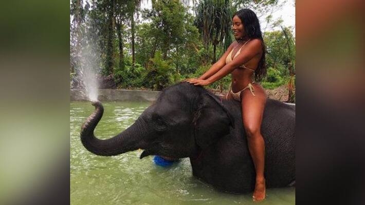Do you know why elephants throw water over their body kph Do you know why elephants throw water over their body kph