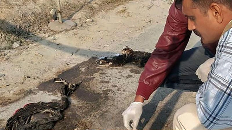 Unnao rape victim dies in Safdarganj Delhi what is the full story KPN