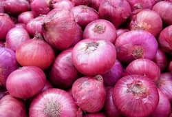 Onion is not only stolen but also smuggled