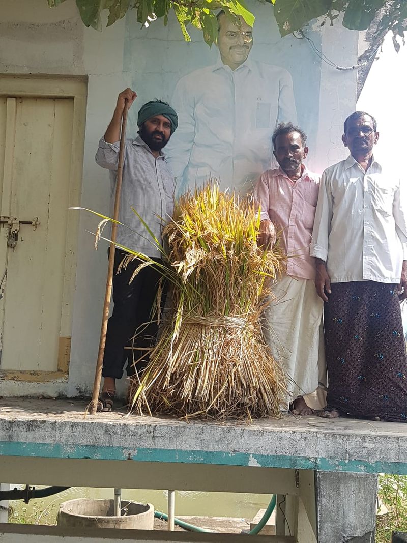 YCP MLA Alla Rama Krishna Reddy At Farming