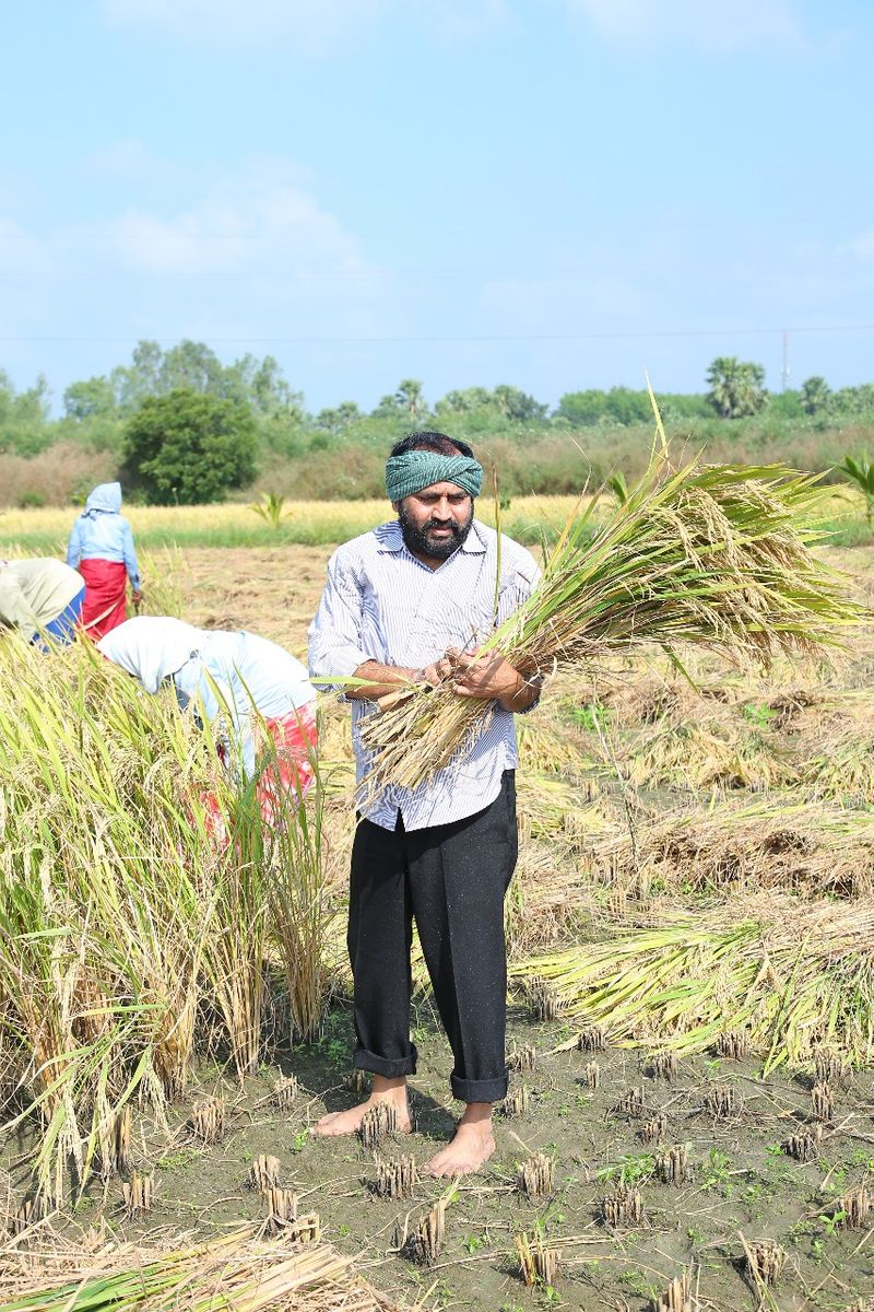 YCP MLA Alla Rama Krishna Reddy At Farming