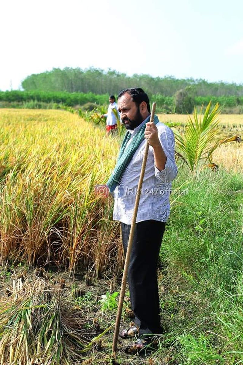 YCP MLA Alla Rama Krishna Reddy At Farming