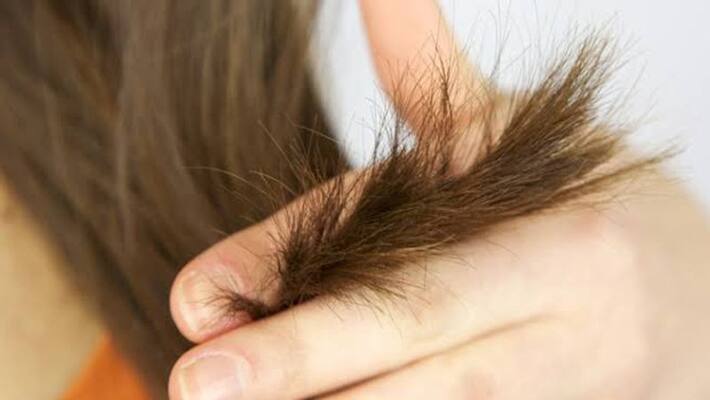 samudra shastra Confuse people with two-faced hair such people are not able to take the right decision kpm samudra shastra Confuse people with two-faced hair such people are not able to take the right decision kpm