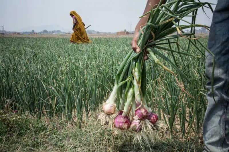 Will the governments intervene to bring Onion prices back to normal ?