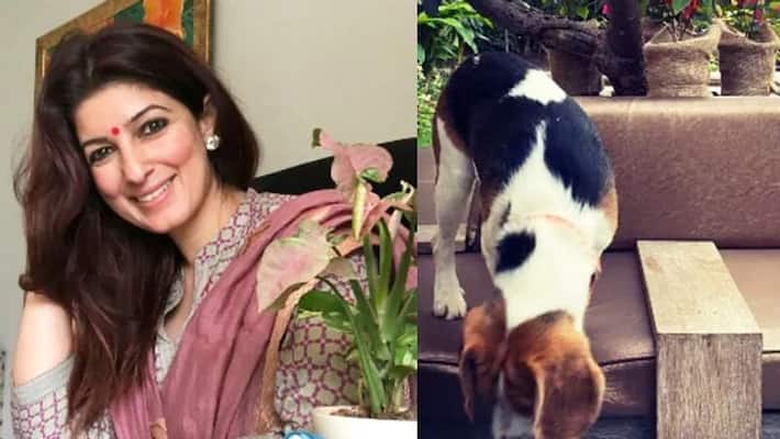 Twinkle Khanna shares her four-legged baby picture with interesting caption Twinkle Khanna shares her four-legged baby picture with interesting caption