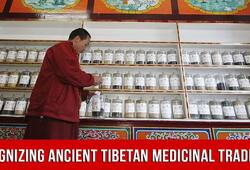 Why Is India Promoting The Traditional Tibetan Medicine System Of Sowa-Rigpa