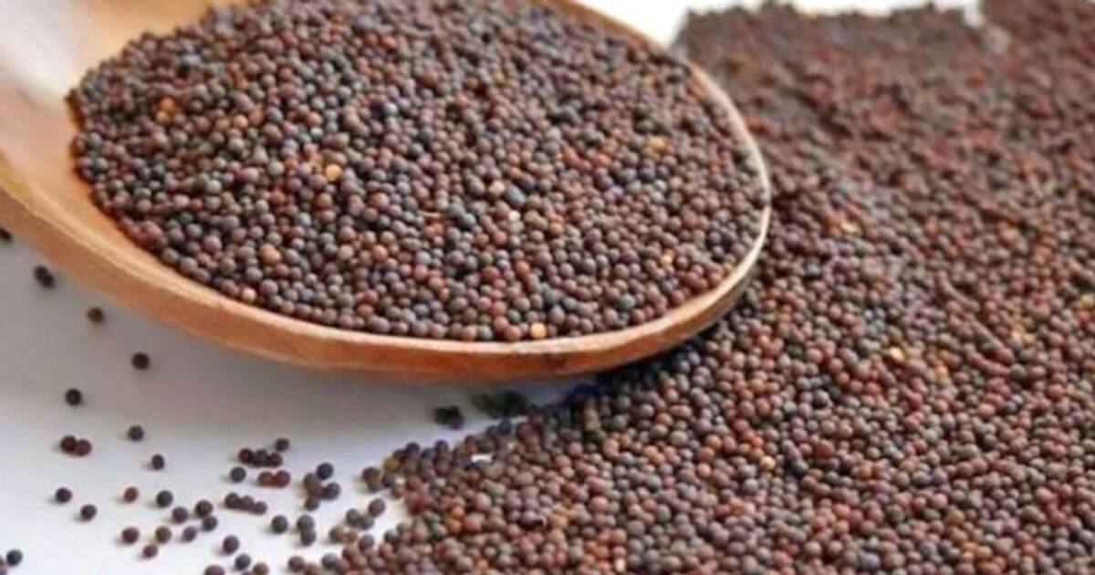 தீராத நோய்களையும் தீர்க்கும் கடுகு வைத்தியம்! 