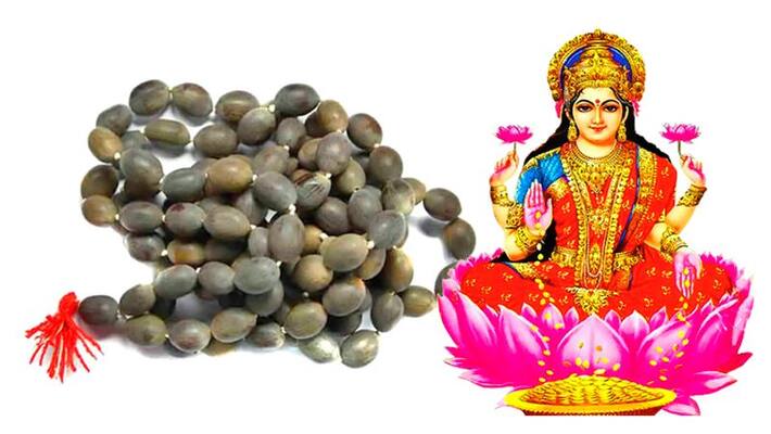 Lakshmi Devi in Shell Lakshmi Devi in Shell