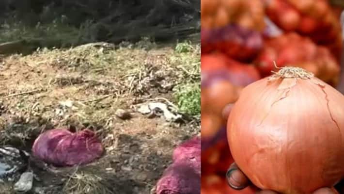 onions were thrown in road side onions were thrown in road side