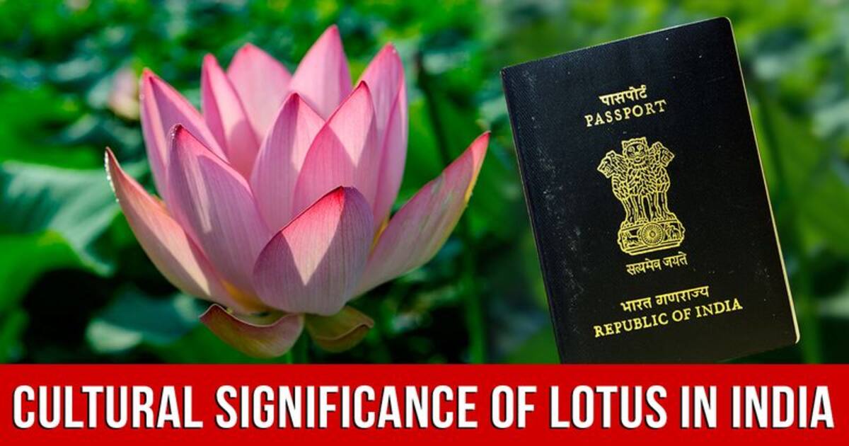 Lotus On Passports Draws Focus On Cultural Significance Of Indias National Flower 8580