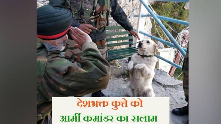 Viral photo of menaka dog saluting army commander goes viral kph Viral photo of menaka dog saluting army commander goes viral kph