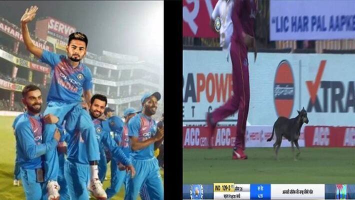 Pant got trolled even after putting his first half-century, people mocked over dog Pant got trolled even after putting his first half-century, people mocked over dog