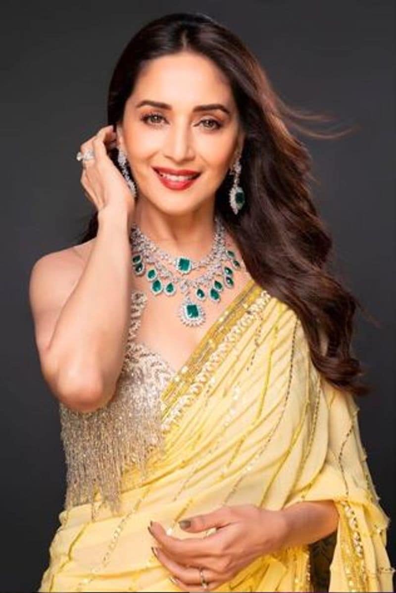 নব্বই দশক পর্দায় ঝড় তুলেছিলেন বলিউড অভিনেত্রী মাধুরী দীক্ষিত। অভিনেত্রীর অভিনয় গুণ নজরে এসেছিল সব পরিচালকের। ১৯৮৮ সালে প্রথম তেজাব ছবির মধ্যে দিয়ে নিজেকে প্রতিষ্টিত করেছিলেন মাধুরী।