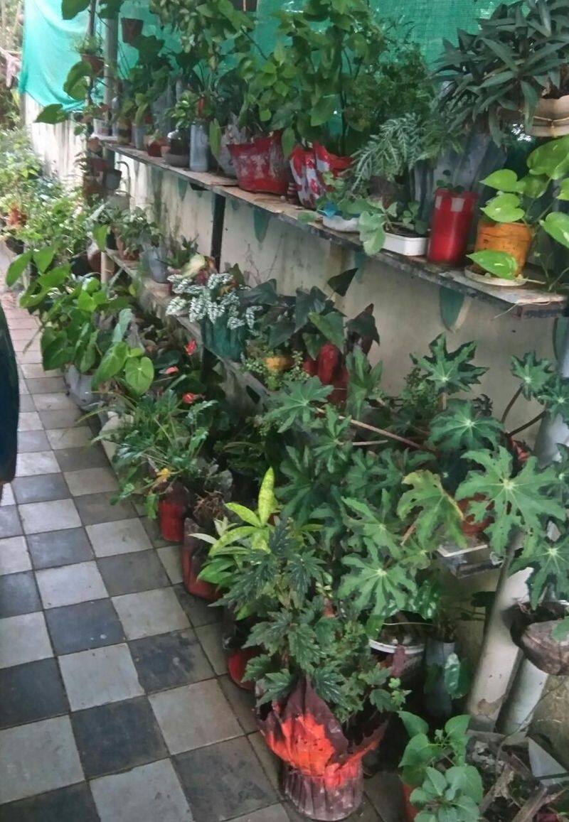 gardening story of sujitha satheesh