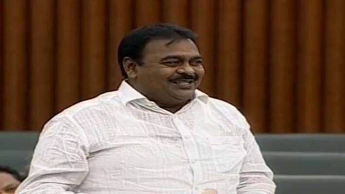 AP Assembly: Janasena mla Rapaka Varaprasad sensational comments on tdp AP Assembly: Janasena mla Rapaka Varaprasad sensational comments on tdp