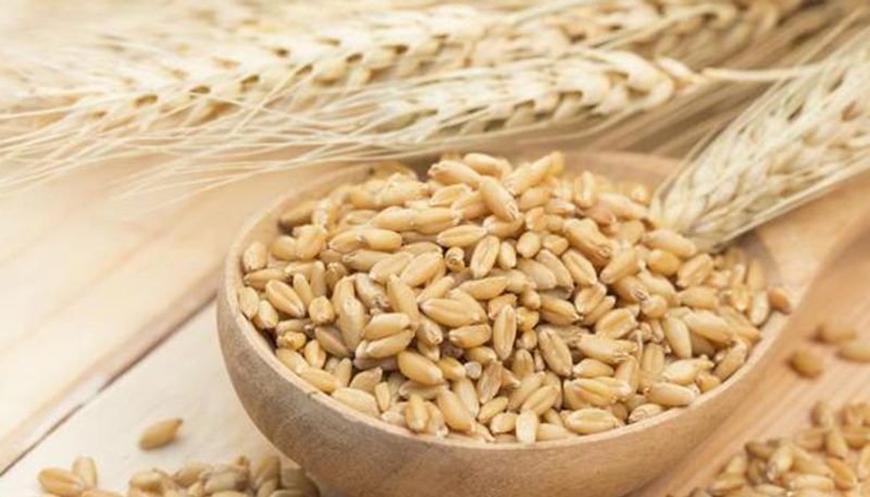 Vitamin D Sufficiency May Help Coronavirus Patients Recover Faster: 6 Foods To Eat dpl