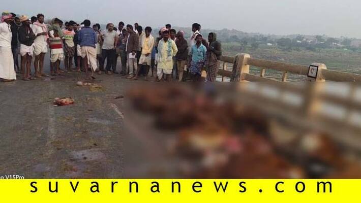 51 Sheeps Dead for Accident in Surapura in Yadgir District 51 Sheeps Dead for Accident in Surapura in Yadgir District