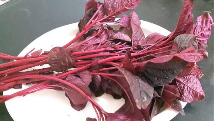 how to make red cheera soup how to make red cheera soup