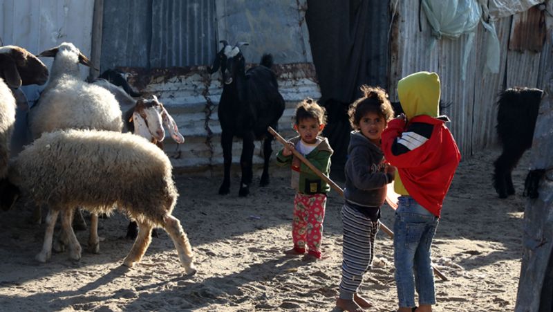 Israel targets Gaza after rocket attack see life of hamas people kpt