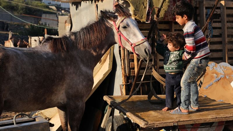 Israel targets Gaza after rocket attack see life of hamas people kpt