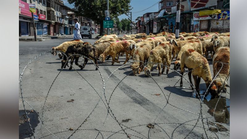 Life of people in Kashmir living in fear kph