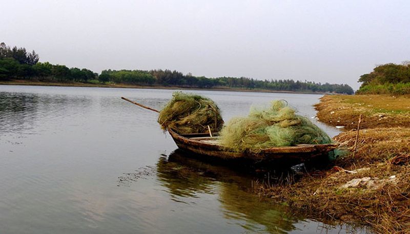 পিয়ালি আইল্যান্ডঃ মাথাপিছু খরচ ৩০০০ টাকা।
