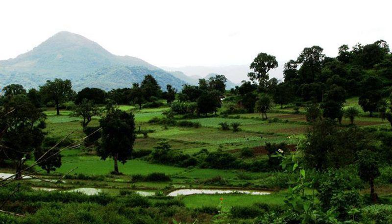 দারিংবাড়িঃ মাথা পিছু খরচ ৫০০০ টাকা।