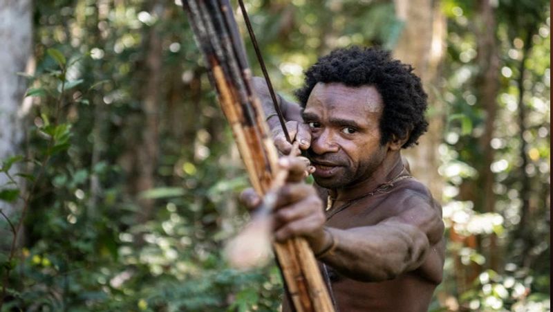 Secret cannibalism korowai tribe lives on trees kph