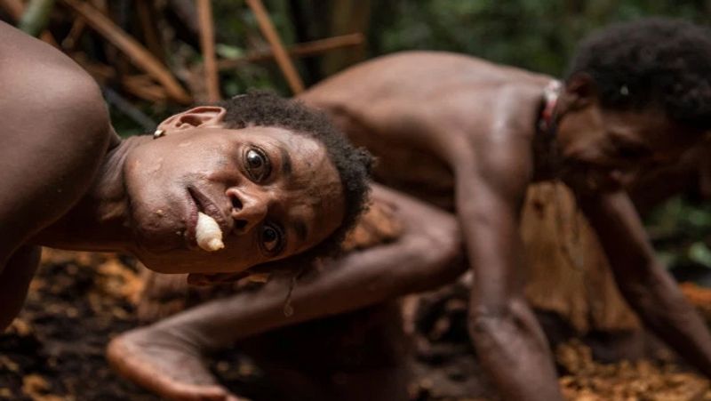 Secret cannibalism korowai tribe lives on trees kph