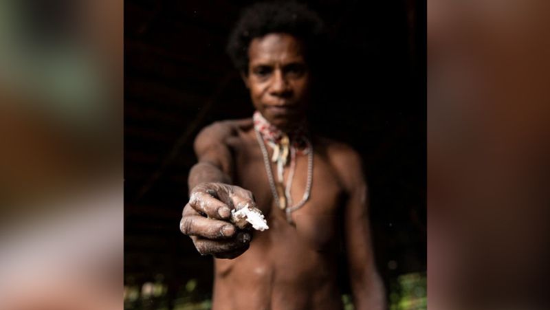 Secret cannibalism korowai tribe lives on trees kph