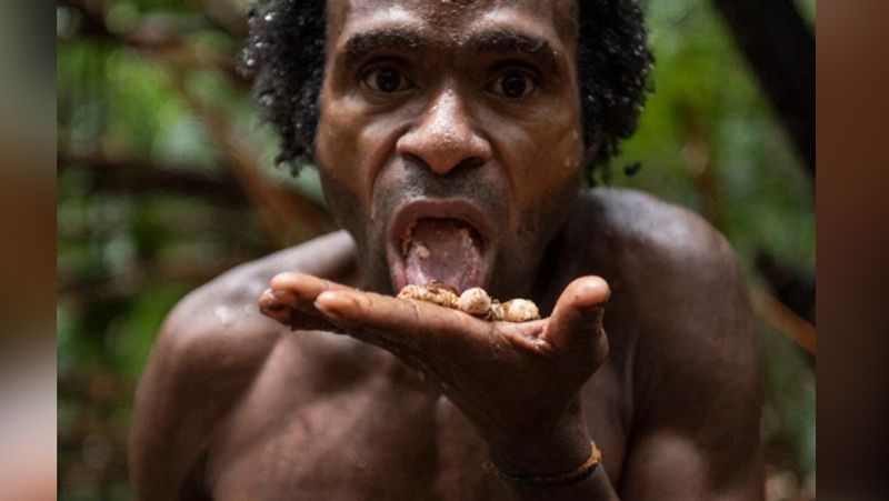 Secret cannibalism korowai tribe lives on trees kph