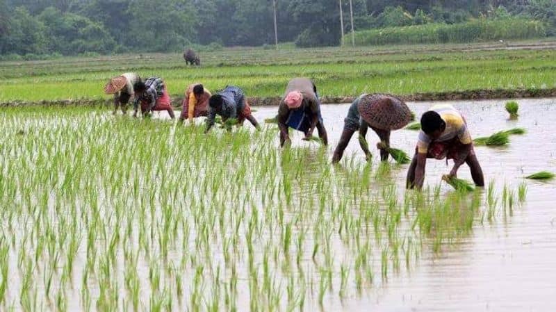 nirmala seetha raman announced solar panel plan to farmers for agriculture in budget